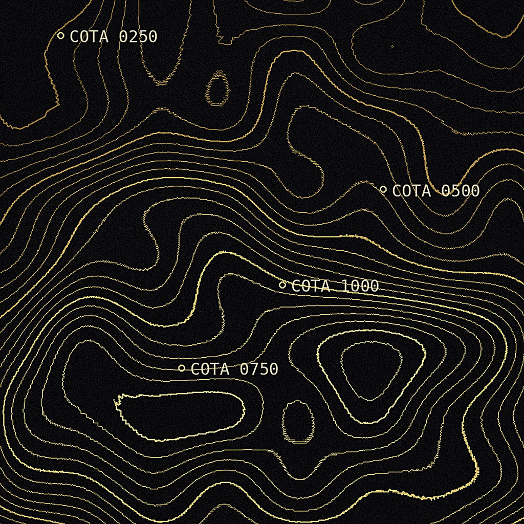 Detalle de las curvas de nivel doradas de la lámina Topografía