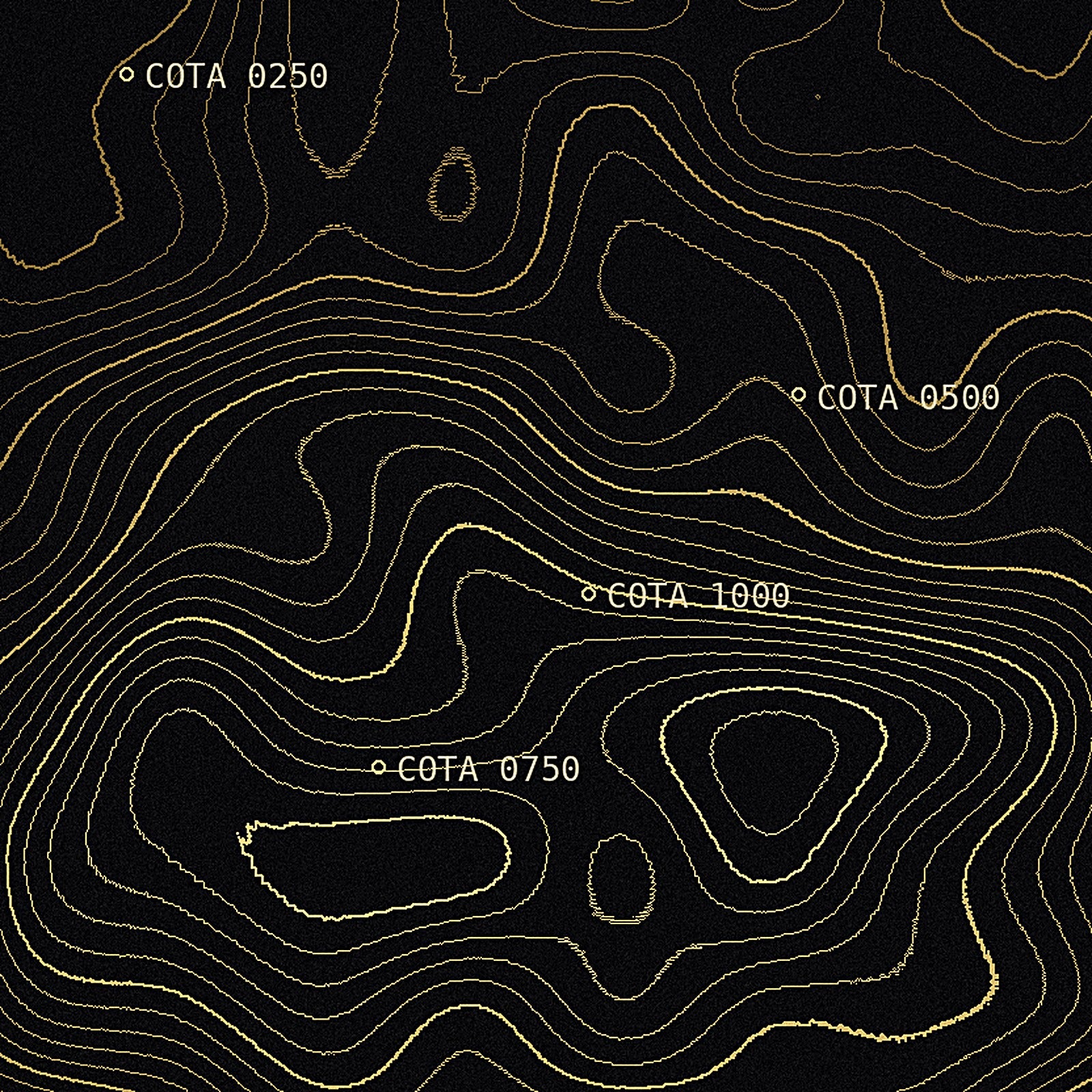 Detalle de las curvas de nivel doradas de la lámina Topografía