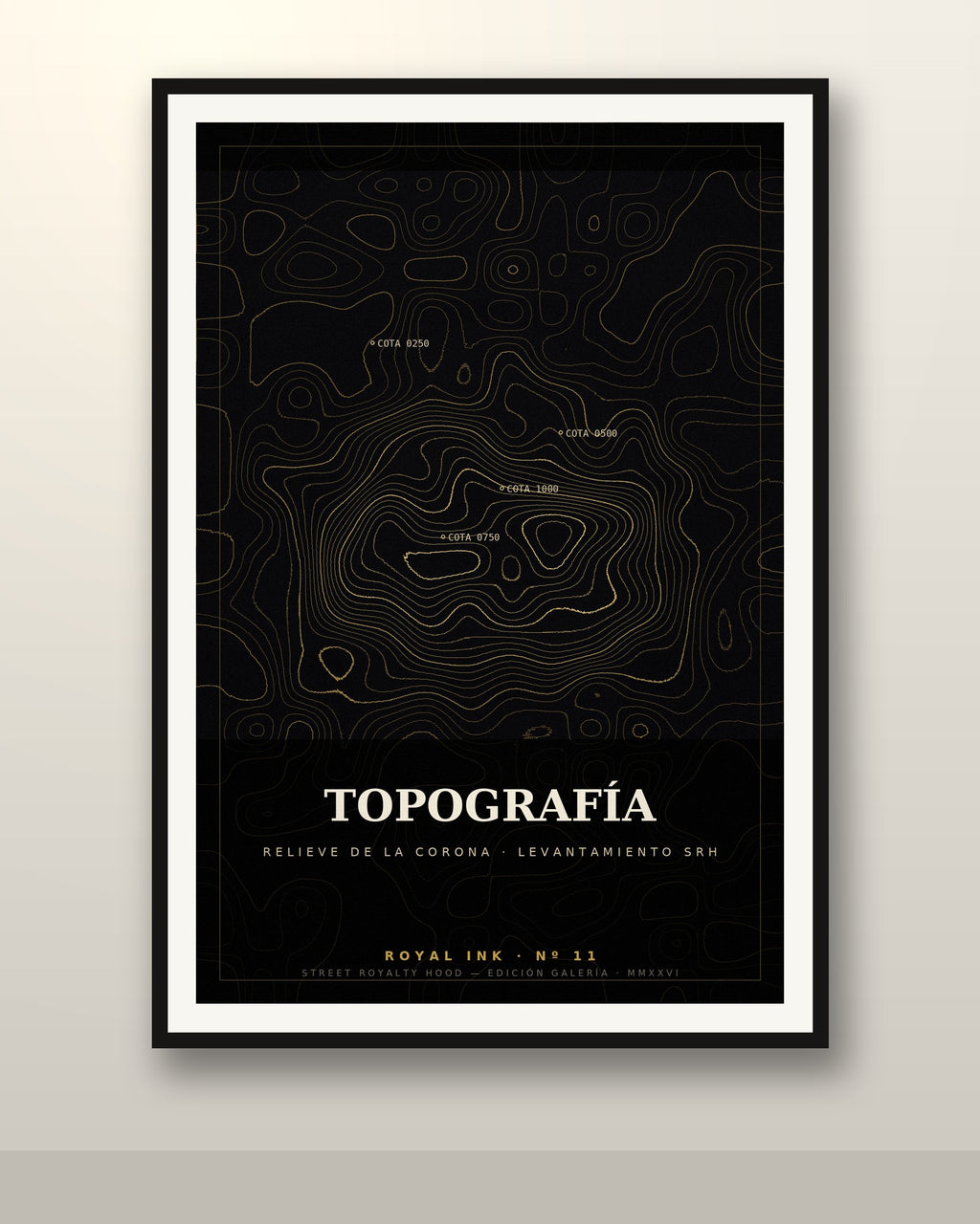 Lámina Topografía enmarcada en pared