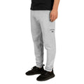 Jogger Street Royalty Arco College gris atlético puesto